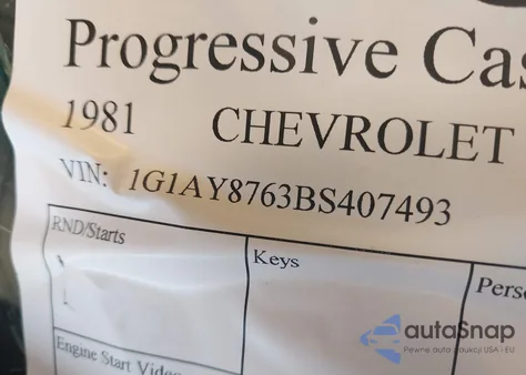 1981 Chevrolet Corvette from USA, damaged, VIN 1G1AY8763BS407493